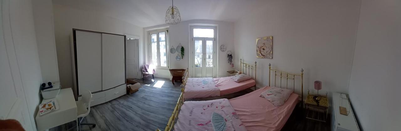 Grand Appartement Au Coeur De ストラスブール エクステリア 写真