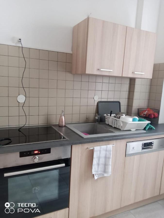 Grand Appartement Au Coeur De ストラスブール エクステリア 写真