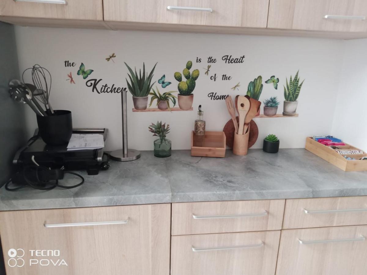 Grand Appartement Au Coeur De ストラスブール エクステリア 写真